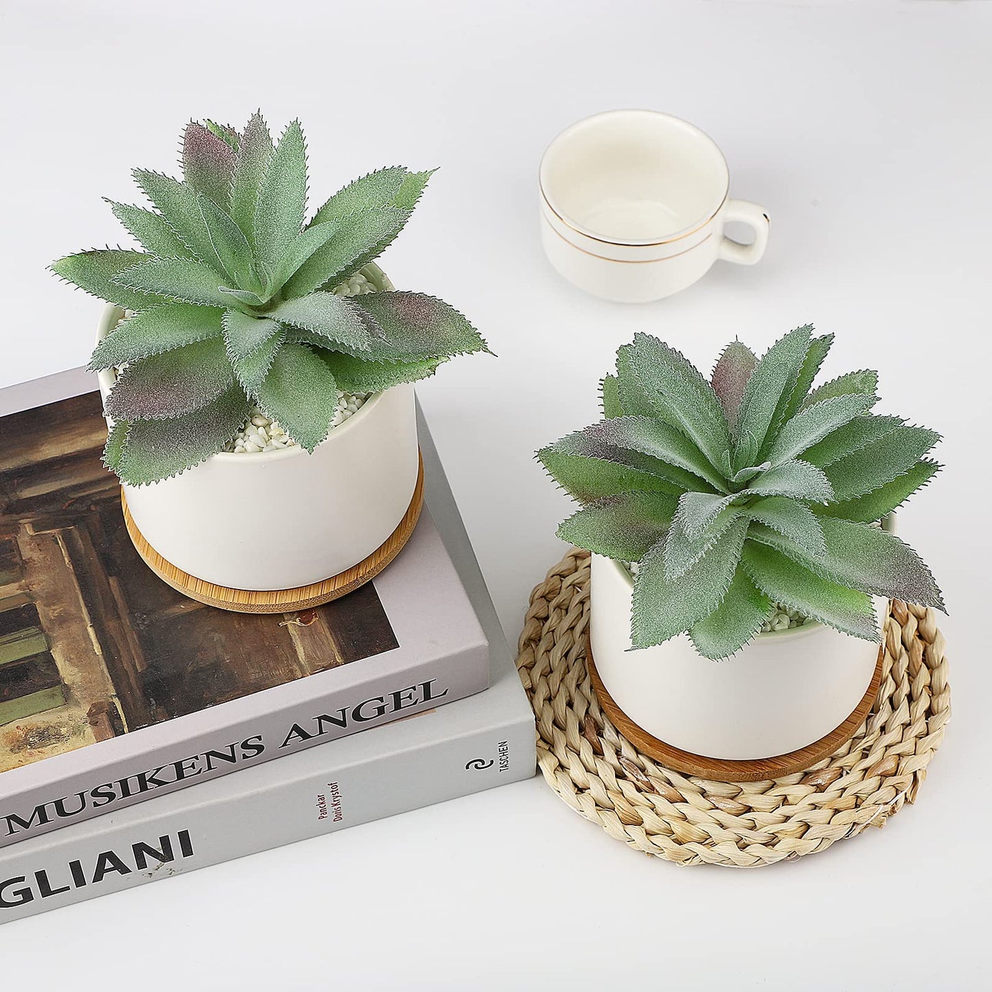 Hopewood Cute Indoor Decor Plants, Artificial Succulent Plants in Ceramic Pots with Bamboo Tray, Faux Potted Plants Set of 3