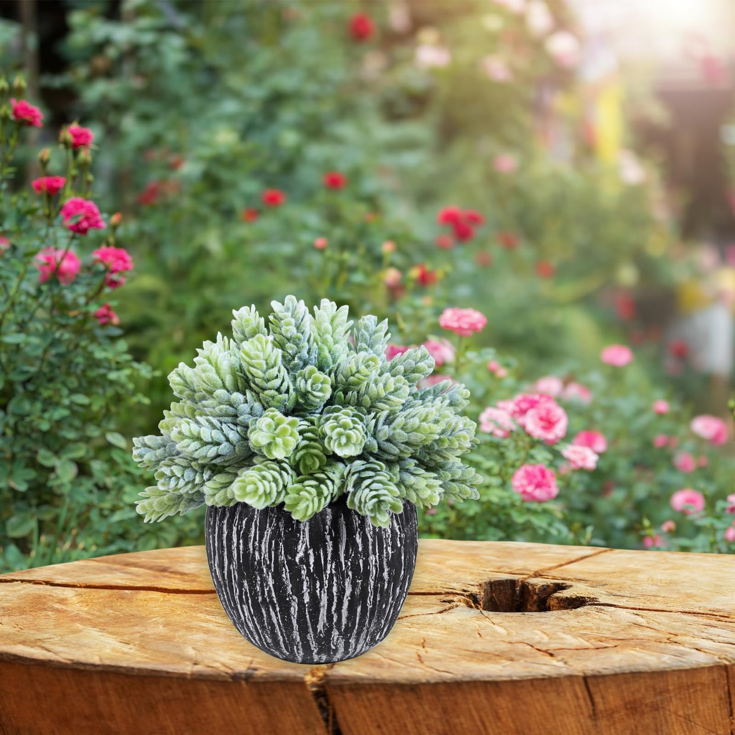 Winlyn Set of 3 Artificial Succulent Plants in Black Pots Fake Hops Aloe String of Pearls Potted Plants Small Faux Plants Desk Plants for Home Office Desk Kitchen Bathroom Shelf Windowsill Decor