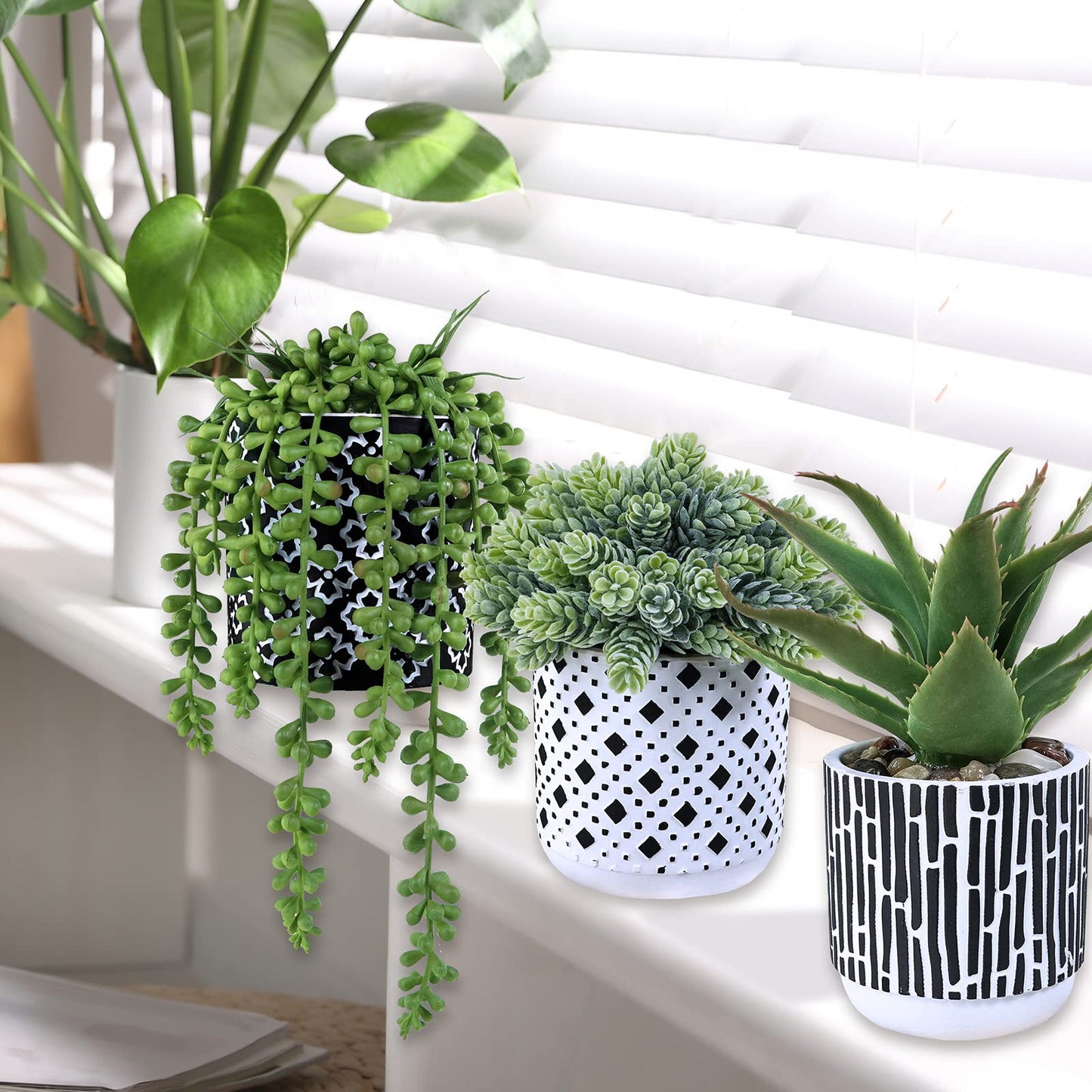 Winlyn 3 Pcs Small Potted Succulents Plants Artificial Aloe Hops String of Pearls Succulents in Black and White Concrete Pots for Gifts Table Centerpiece Shelves Windowsill Indoor Outdoor Decorations