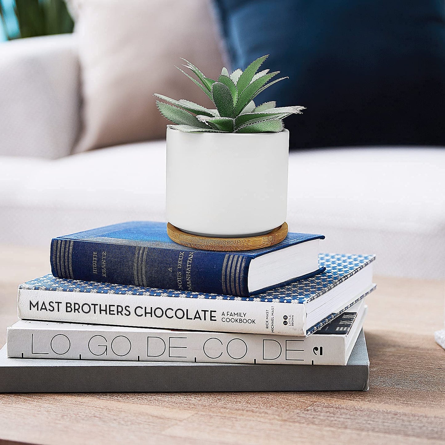 Hopewood Cute Indoor Decor Plants, Artificial Succulent Plants in Ceramic Pots with Bamboo Tray, Faux Potted Plants