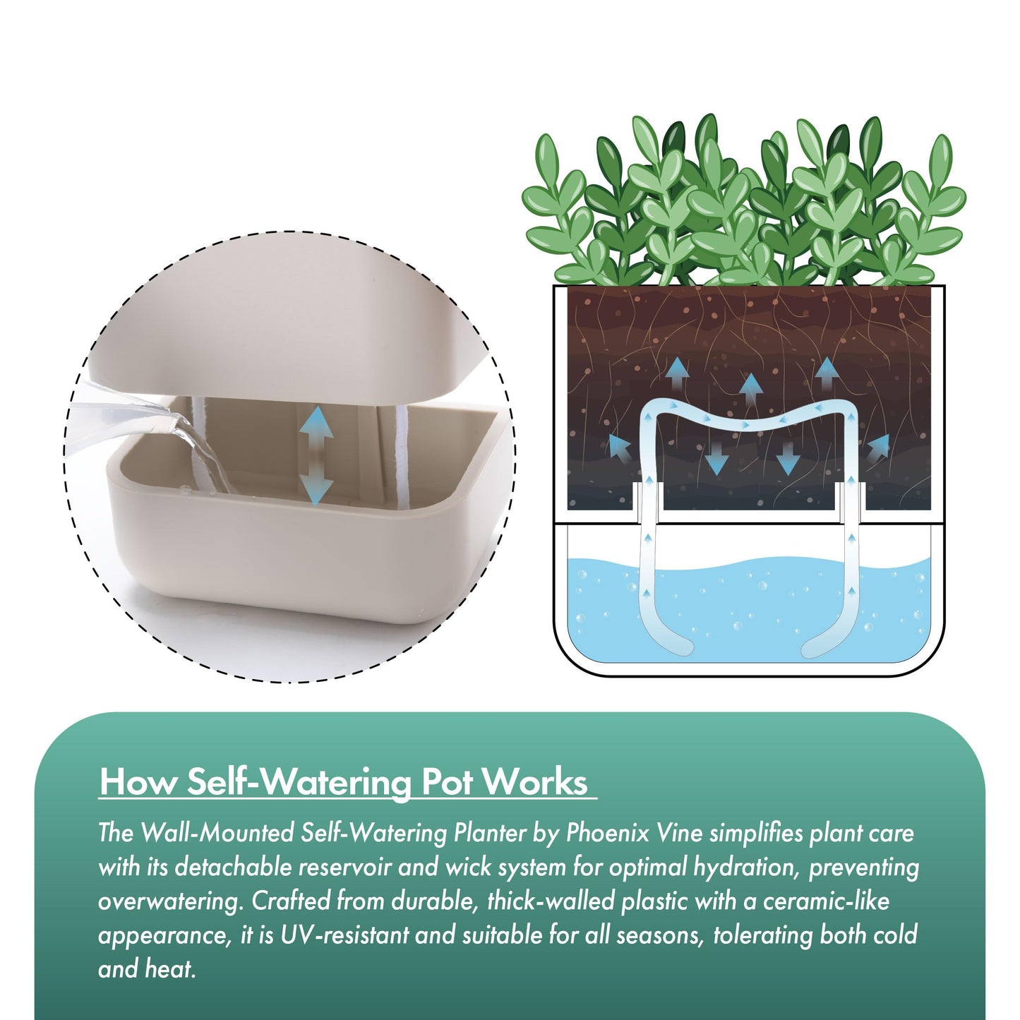 Phoenix Vine 4.5 Inch Wall Mounted Self-Watering Planter Pot for Indoor Houseplants and Herbs | Hanging Planter for Window Sills, Bathroom Walls, Home & Office Décor, Oatmeal, Set of 2, 01-B-G-2