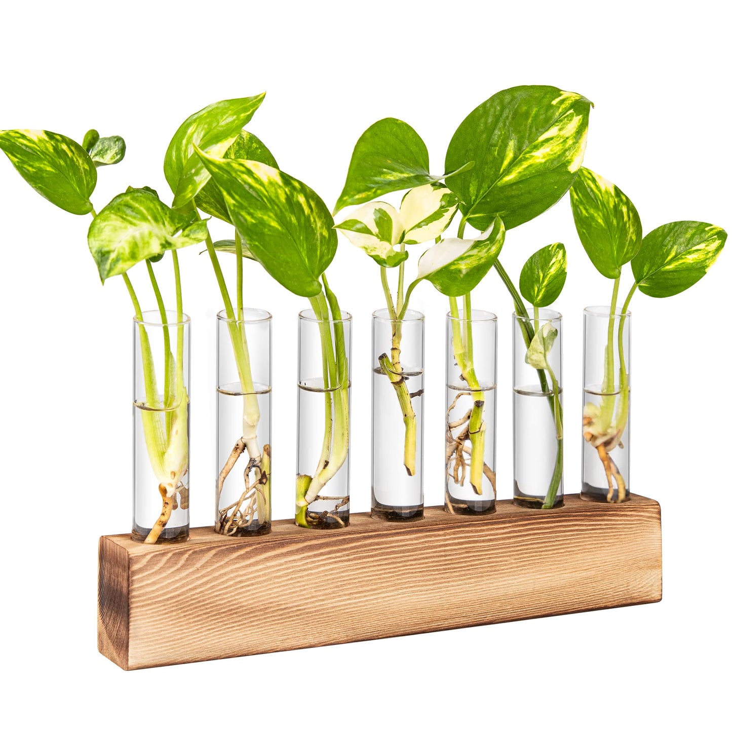KAXYEW Plant Terrarium with Wooden Stand, Plant Propagation Tubes, 7 Test Tubes Glass Planter for Hydroponic Plant Cuttings Home Office Décor