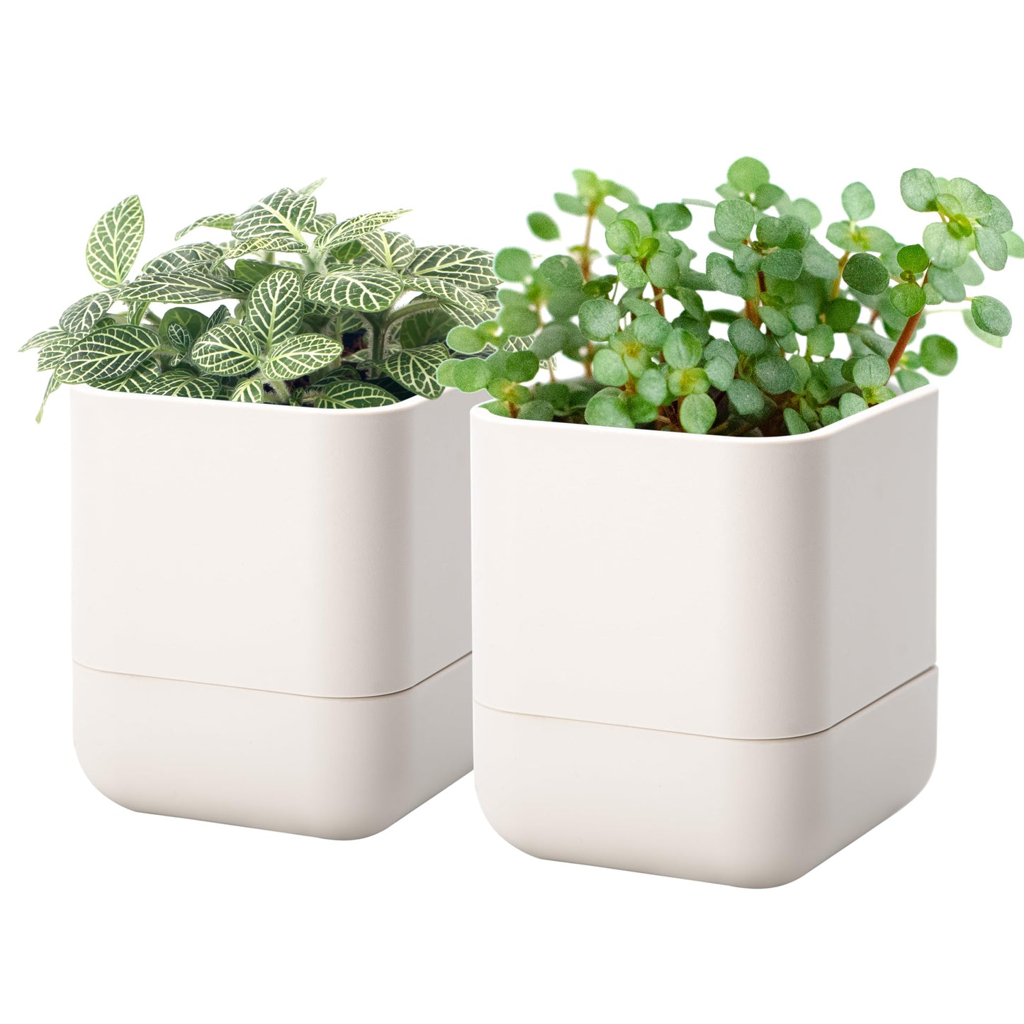Phoenix Vine 4.5 Inch Wall Mounted Self-Watering Planter Pot for Indoor Houseplants and Herbs | Hanging Planter for Window Sills, Bathroom Walls, Home & Office Décor, Oatmeal, Set of 2, 01-B-G-2