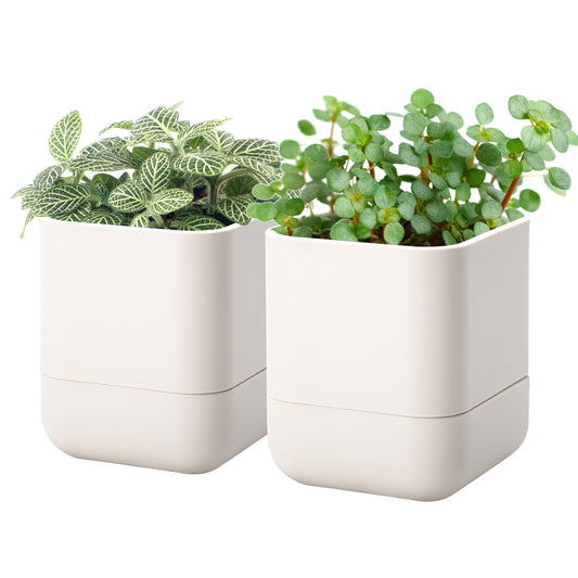 Phoenix Vine 4.5 Inch Wall Mounted Self-Watering Planter Pot for Indoor Houseplants and Herbs | Hanging Planter for Window Sills, Bathroom Walls, Home & Office Décor, Oatmeal, Set of 2, 01-B-G-2