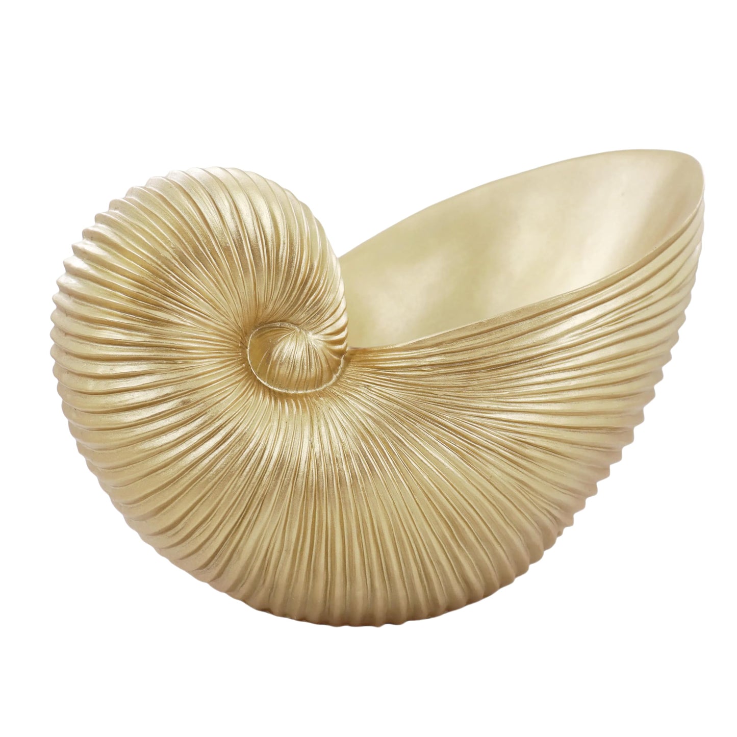 Dwelloria Gold Nautilus Shell Resin Sculpture – Coastal Sea Shell Statue for Home Décor, Modern Ocean Inspired Nautical Art Accent for Shelf, Mantel or Tabletop (Gold Nautilus)