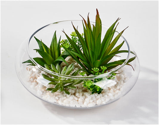 WORTH IMPORTS Artificial Succulents Dish Garden on Stones in 6" Glass Container