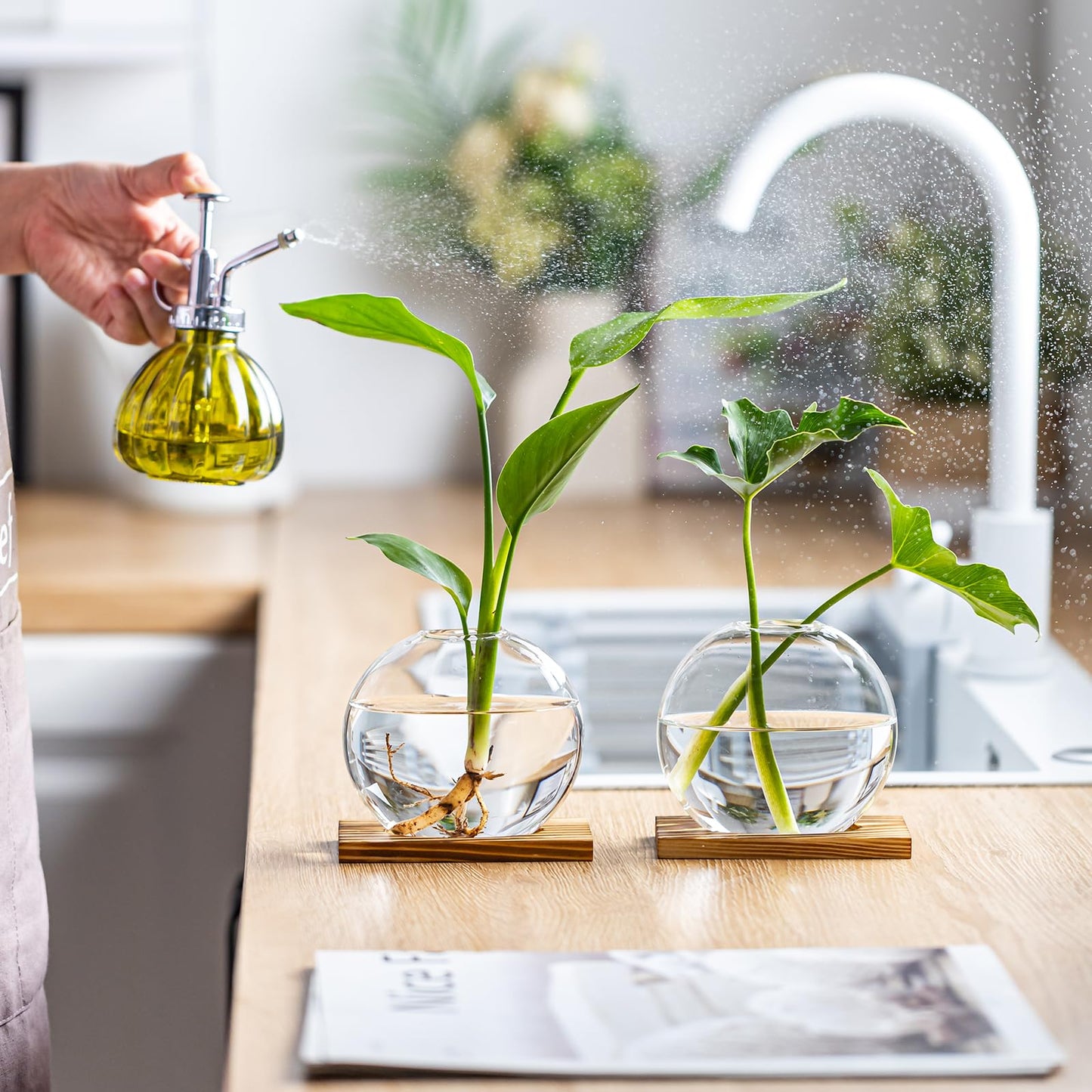 wangsdjy Glass Planter Propagation Station with Wooden Base - Clear Oblate Hydroponic Vase, Decorative Desktop Flower Vase for Home, Office, Windowsill - Gift for Plant Lovers (2)