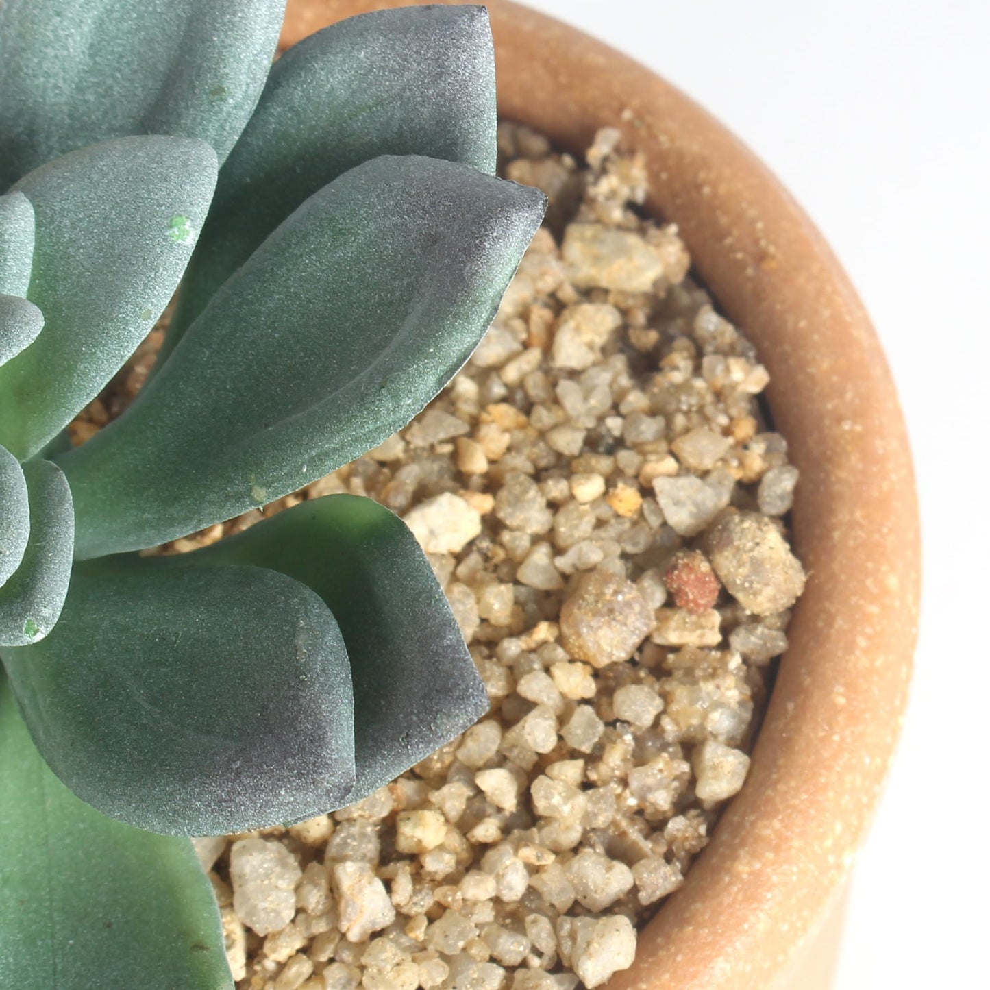 COTSEN 3 Pcs Artificial Succulent Plants Potted False Succulent Plants Potted Faux Potted Plant Family Office Bookshelf Decor