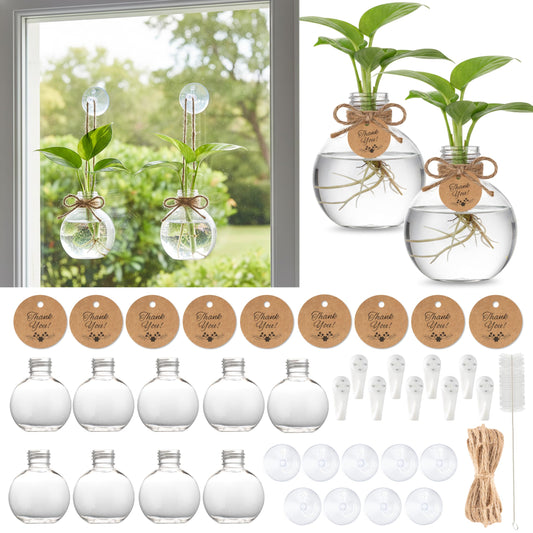 GioXtra Plastic Window Propagation Stations - 9 Pack Hanging Plant Propagation Vases Clear Jars with Hook Thank You Tag Cleaning Brush for Women Plant Lover Garden Home Office Decor Housewarming Gifts