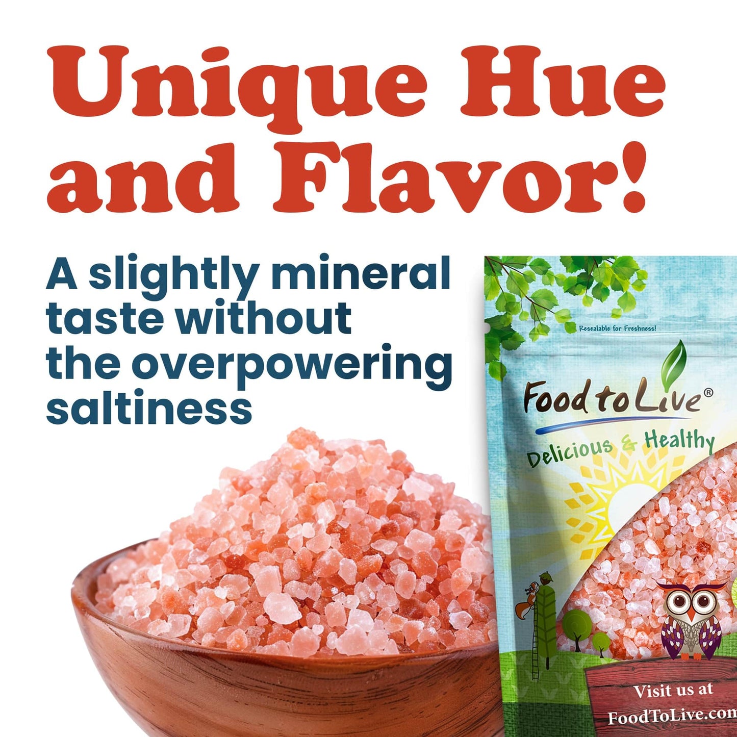 Food to Live Himalayan Pink Salt, 10 Pounds – Coarse Grain, No Additives, No Preservatives, Vegan, Kosher, Bulk. Packed with Minerals. Perfect Seasoning. Suitable for Grinders, Salt Mills.