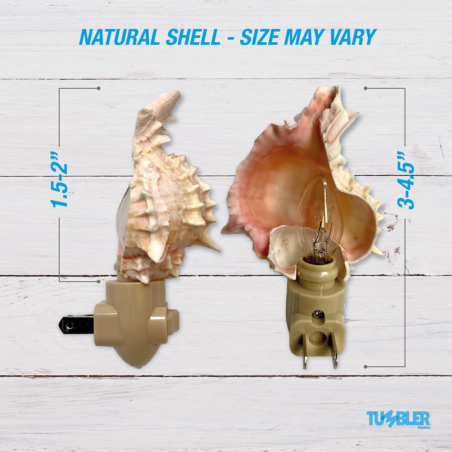 Real Shell Night Light, Seashell Decor for Coastal Bathroom or Beach House