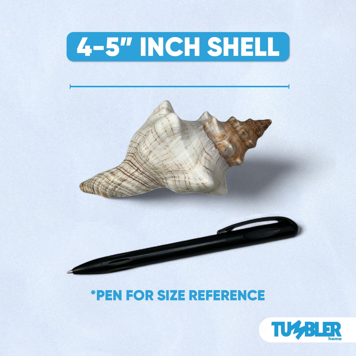 Tumbler Home Large Conch Shell for Aquarium and Beach Decor (Fox)