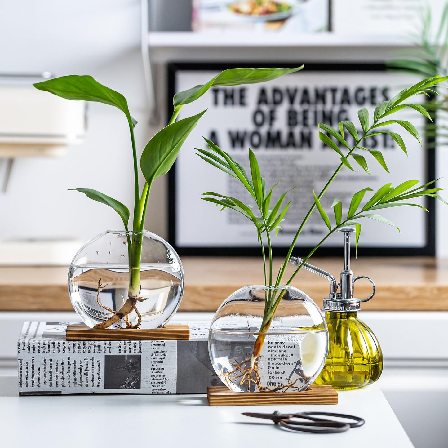 wangsdjy Glass Planter Propagation Station with Wooden Base - Clear Oblate Hydroponic Vase, Decorative Desktop Flower Vase for Home, Office, Windowsill - Gift for Plant Lovers (2)