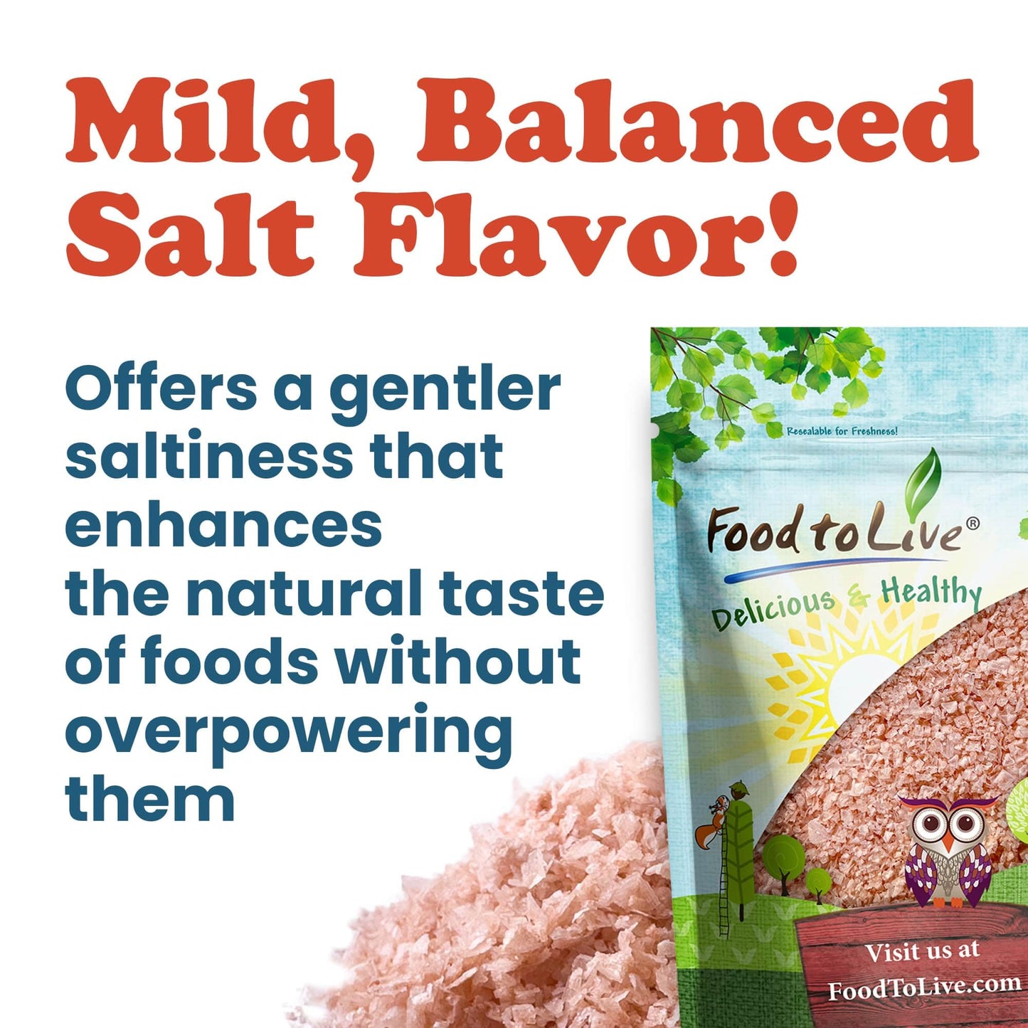 Food to Live - Himalayan Pink Salt Flakes, 6 Ounces – Flaky Salt Crystals, Pure, No Additives, Vegan, Kosher, Bulk. Gourmet Salt. Perfect to Use as a Finishing Salt. Not Suitable for Grinders