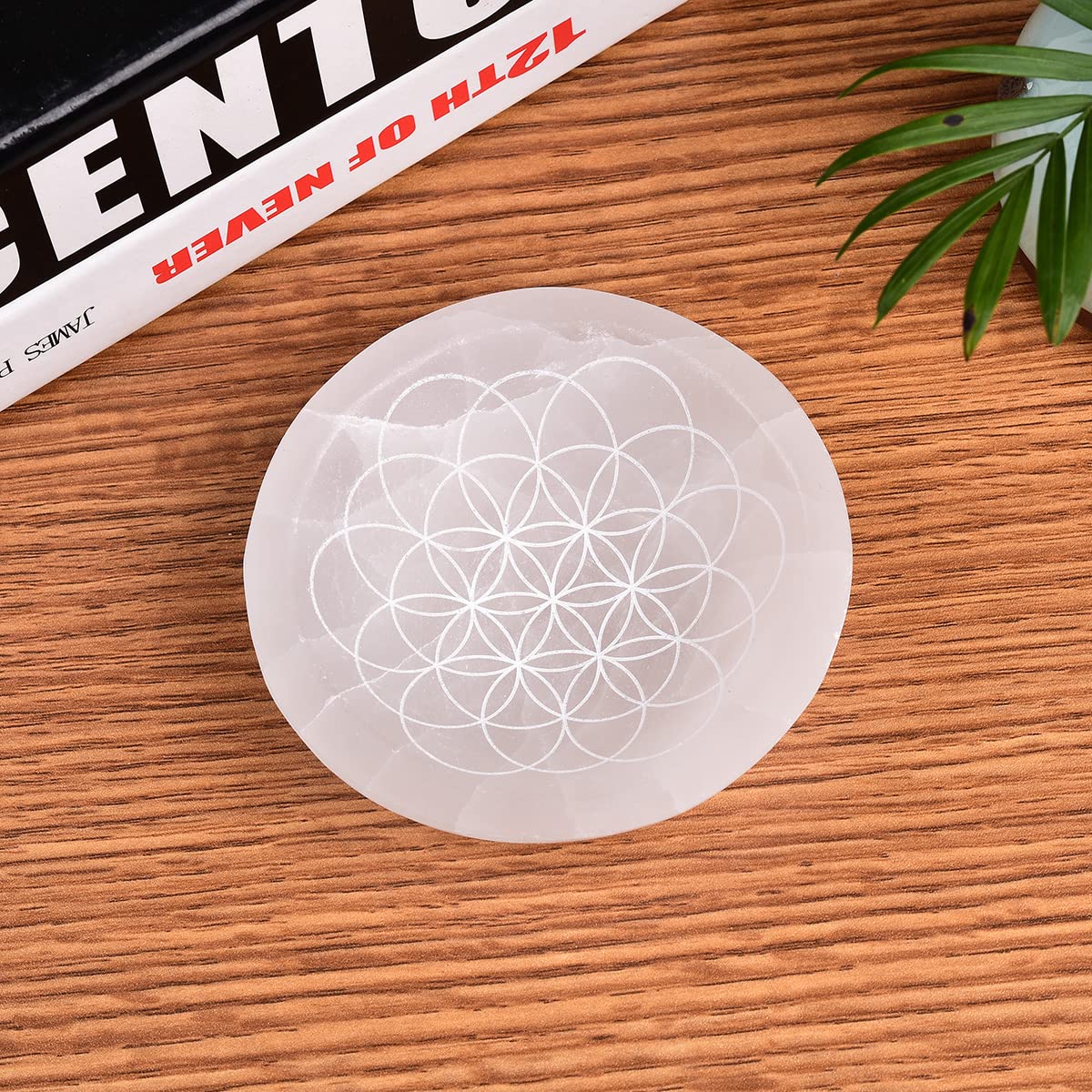 JIC Gem Etched Selenite Bowl Moroccan Selenite Crystal Stone Bowl Healing Crystals Charging Plate Round Engraved Crystal Matrix 3.5-4 inch