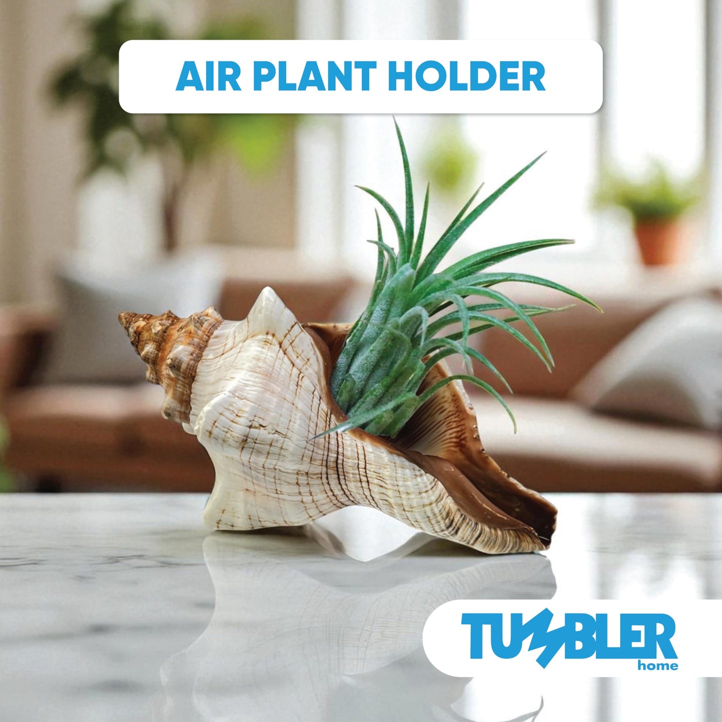 Tumbler Home Large Conch Shell for Aquarium and Beach Decor (Fox)