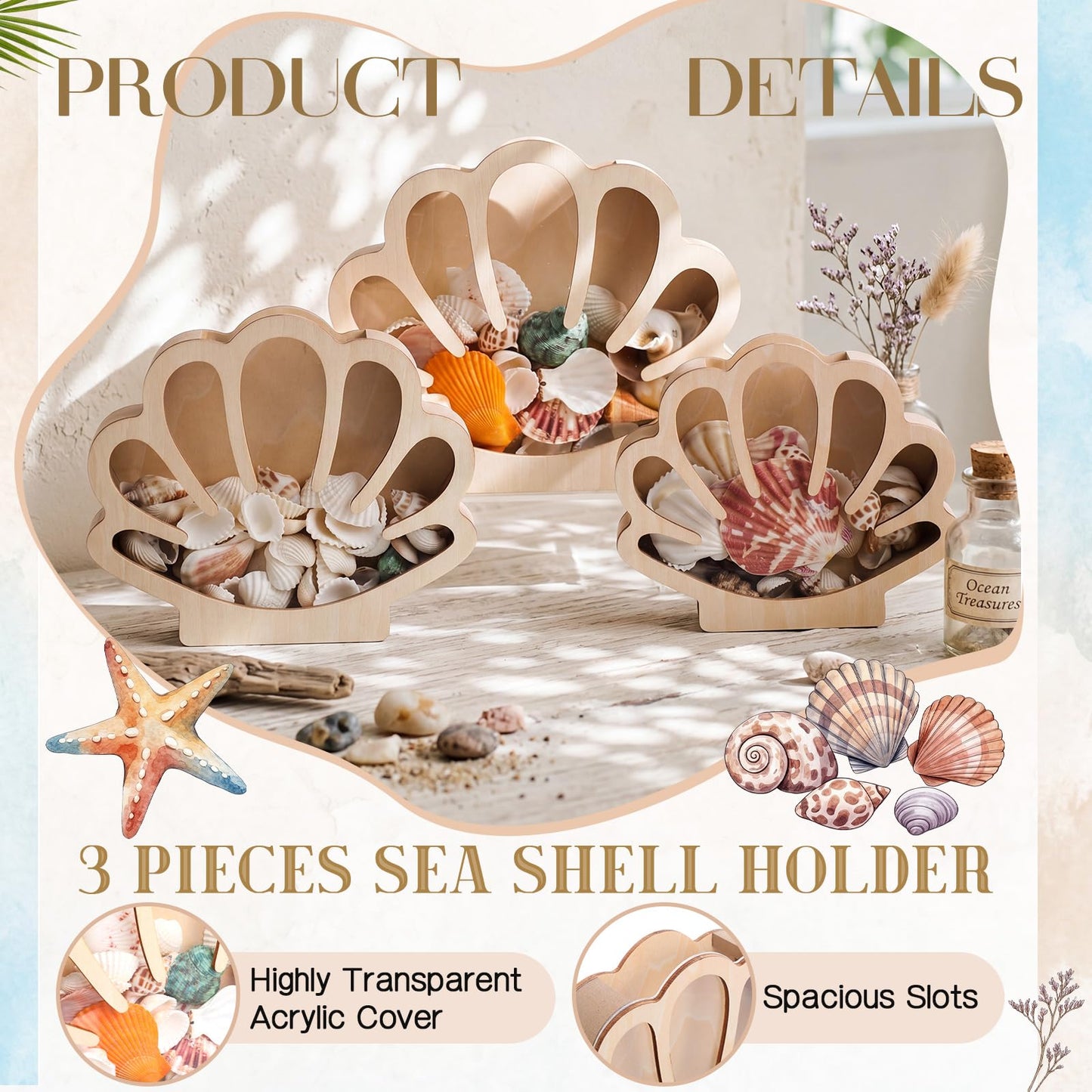 Mifoci 3 Pcs Seashell Display Box Wooden Scallop Shaped Sea Shell Holder with Acrylic Clear Window Starfish Display Case Shadow Box for Sea Glass Shark Tooth Storage Collection Summer Home Decor