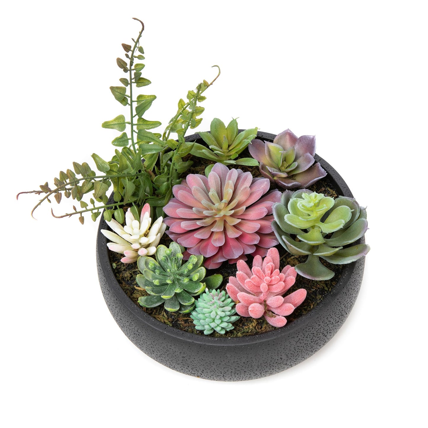 Nattol 8 Inch Round Modern Artificial Succulent Plant Arrangement, Assorted Fake Plants in Black Concrete Planter Bowl for Home Decoration