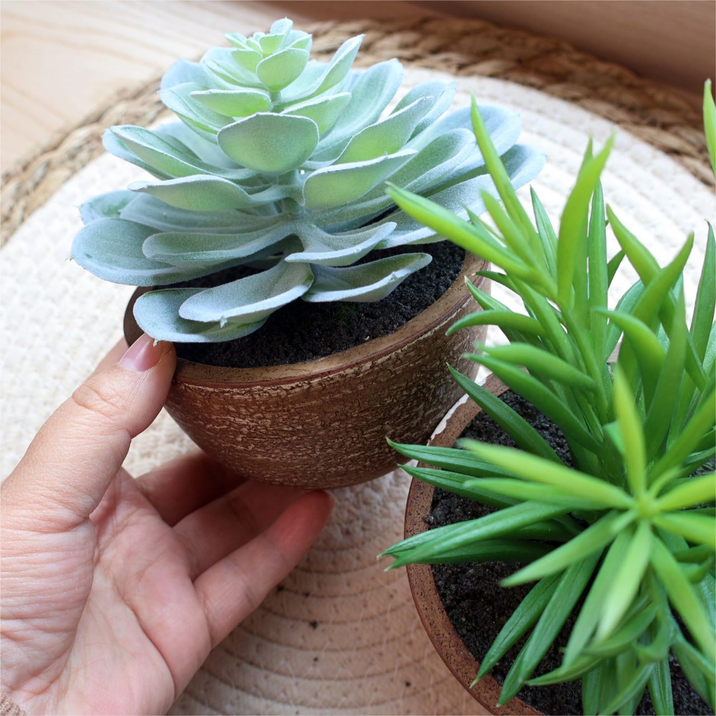 VINSUNI Artificial Succulents Plastic Artificial Green Plant for Office, Fake Succulents for Home Decoration (Set of 2 Succlents in Pots)