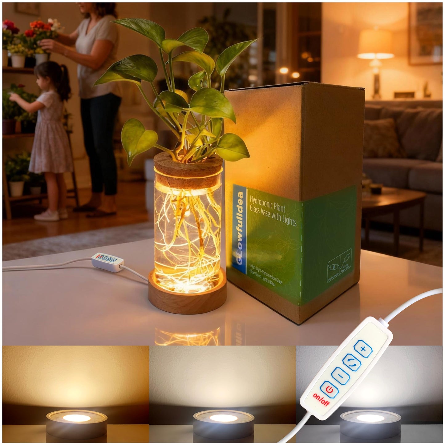 Plant Propagation Station with Light, Glass Planter Station with Waterproof Adjustable LED Lighted Wooden Base, Desktop Hydroponic Plants Terrarium Vases Jars for Home & Office Decor