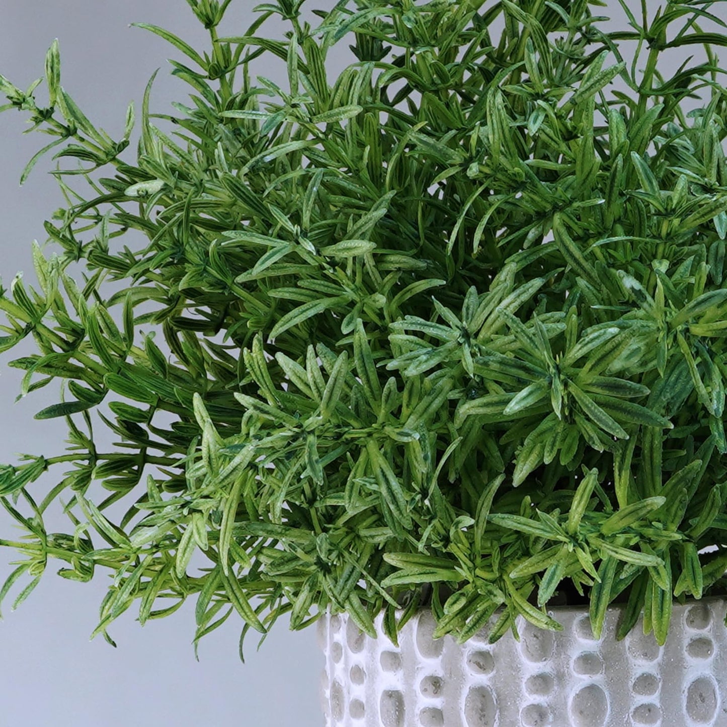 Winlyn 3 Pcs Artificial Potted Plants - Faux Eucalyptus, Boxwood, Rosemary, Greenery in Small Concrete Pots -Desk, Table, Shelf, Windowsill Decor for Indoor Outdoor Home Office