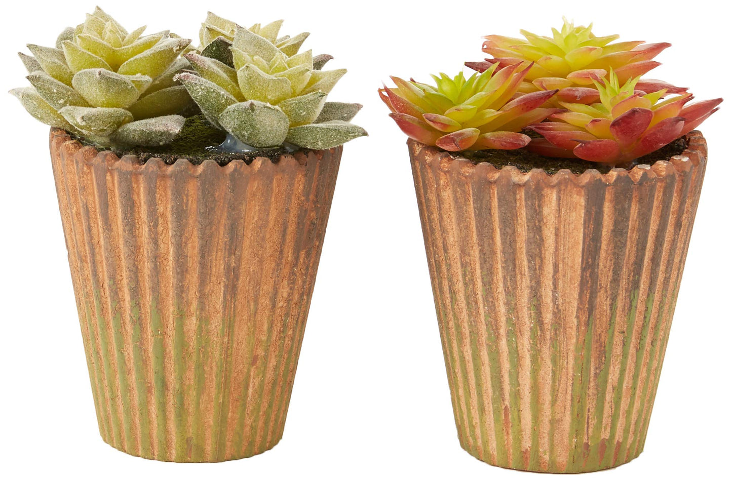 Worth Imports Artificial 3.5" Potted Hens and Chicks Succulent 2 Sets of 2