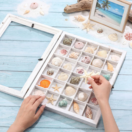 Wonderjune Shell Shadow Box with Shelf Deep Wood Shadow Box Frame Glass Door Display Case with 12/30 Compartments Storage for Collection, Souvenirs, Figures, Wine Bottle Caps, Stamps(12x16 in)