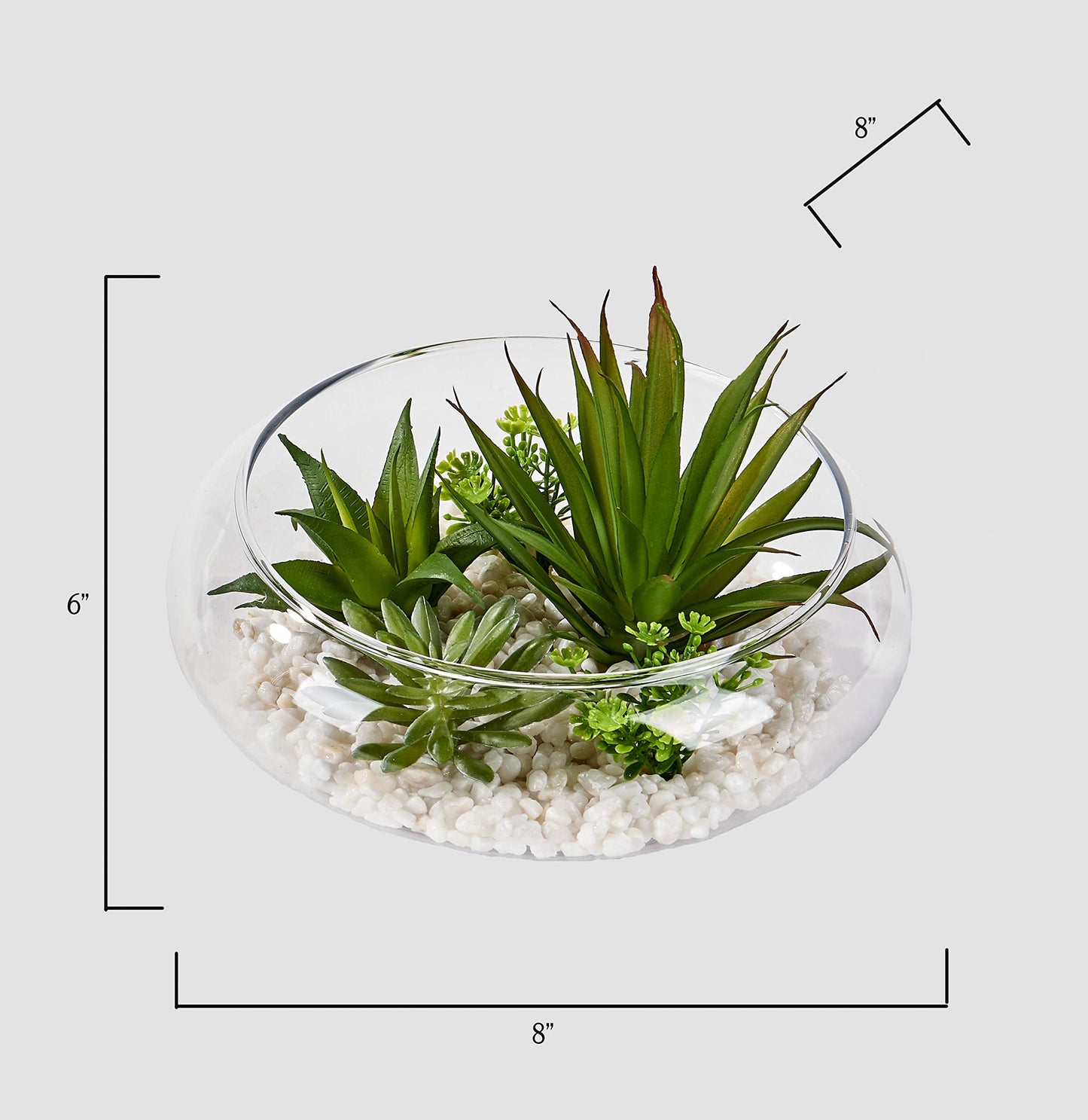 WORTH IMPORTS Artificial Succulents Dish Garden on Stones in 6" Glass Container