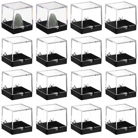 12PCS Small Clear Box Plastic Transparent Mineral Display Box for Agate Slices Crystals Minerals Slab Coral Small Collectibles Natural Rock Science Samples