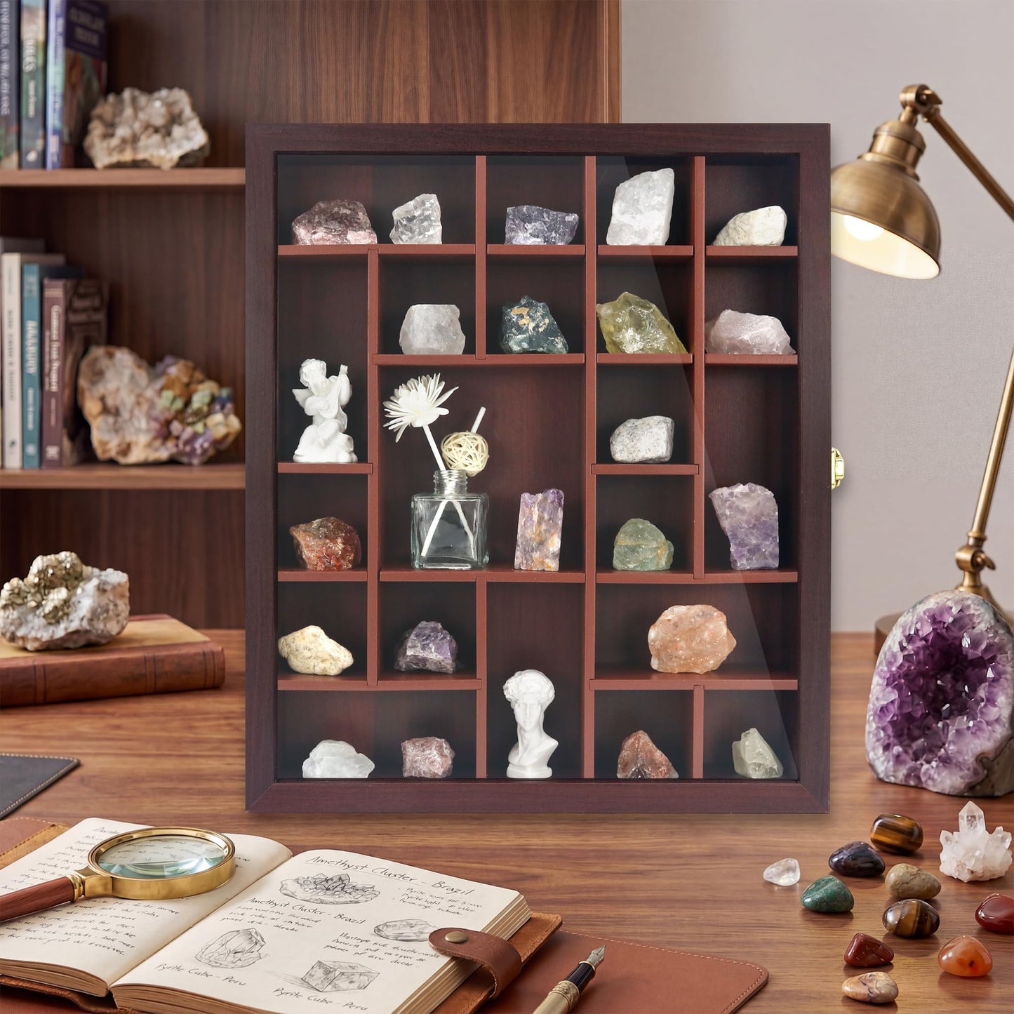 FramePro Rock Display Case - Adjustable Mineral Collection Box with Glass Lid, Wooden Cabinet for Rock, Fossil, Crystal, Seashell Collections - Geology Gift for Adults/Kids (16" x 13.5", Brown)