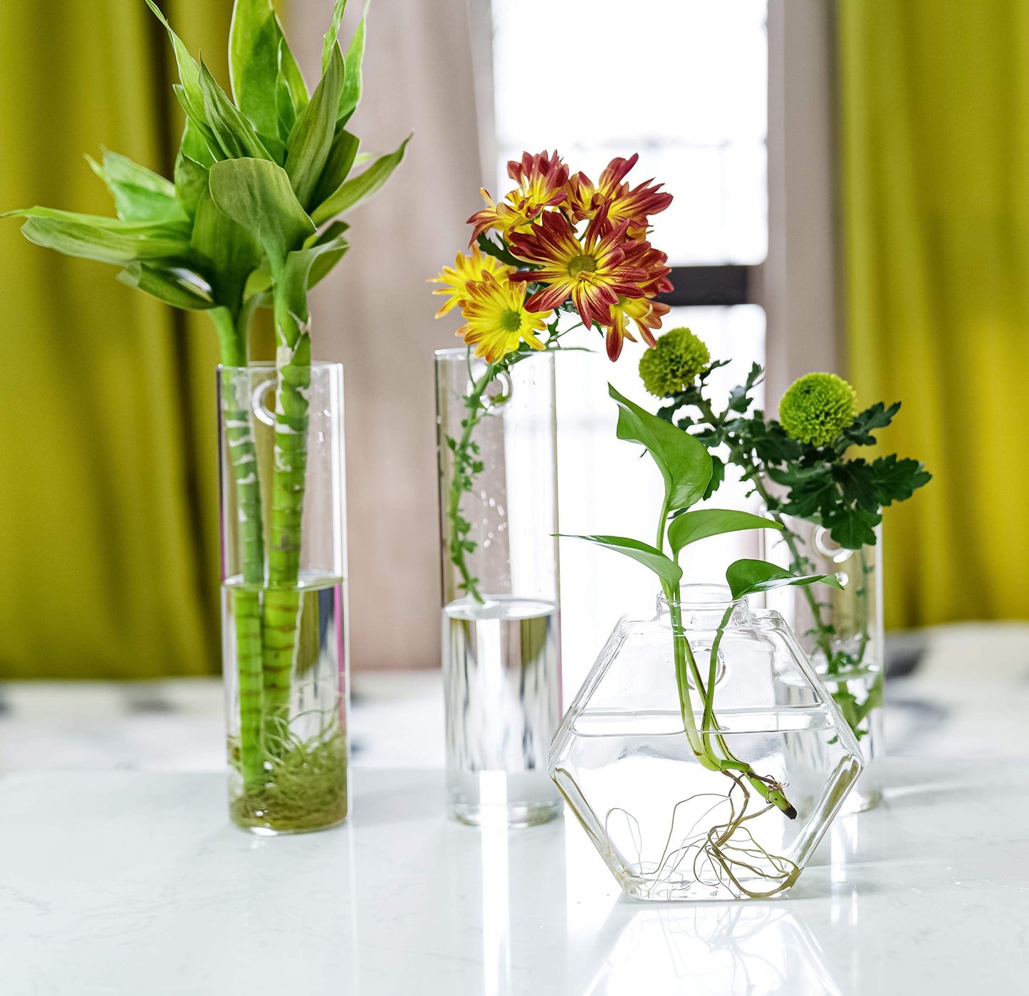 PACDONA 2 Pack Wall Hanging Planters Glass Terrariums - Cylindrical Plants Holders Air Plants Succulents Planters Flowers Glass Wall Vase Containers for Decor Indoor Garden