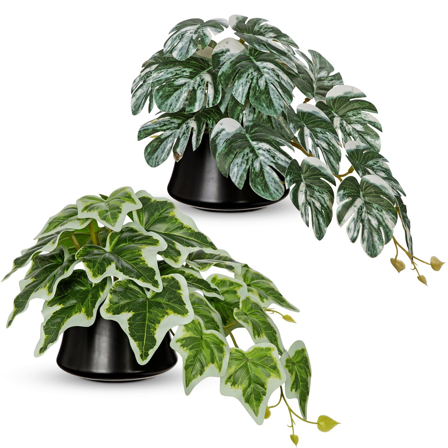 Arborus Artificial Potted Plants Set of 2 – Faux Variegated Monstera & Ivy Plants in Ceramic Pots, Small Artificial Hanging Greenery for Modern Home, Desk, Shelf & Bathroom Décor