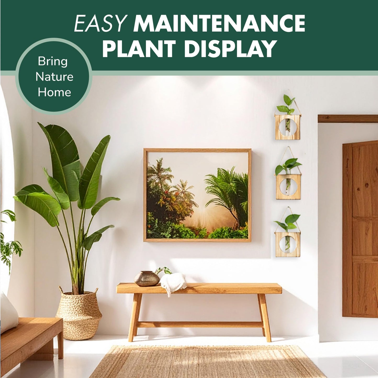 · GARDEN REPUBLIC · Propagation Stations Set of 3 - Propagation Vases for Plants - Hanging Wooden Wall Planter and Glass Test Tubes - Indoor Plant Holder, Hydroponic Decor