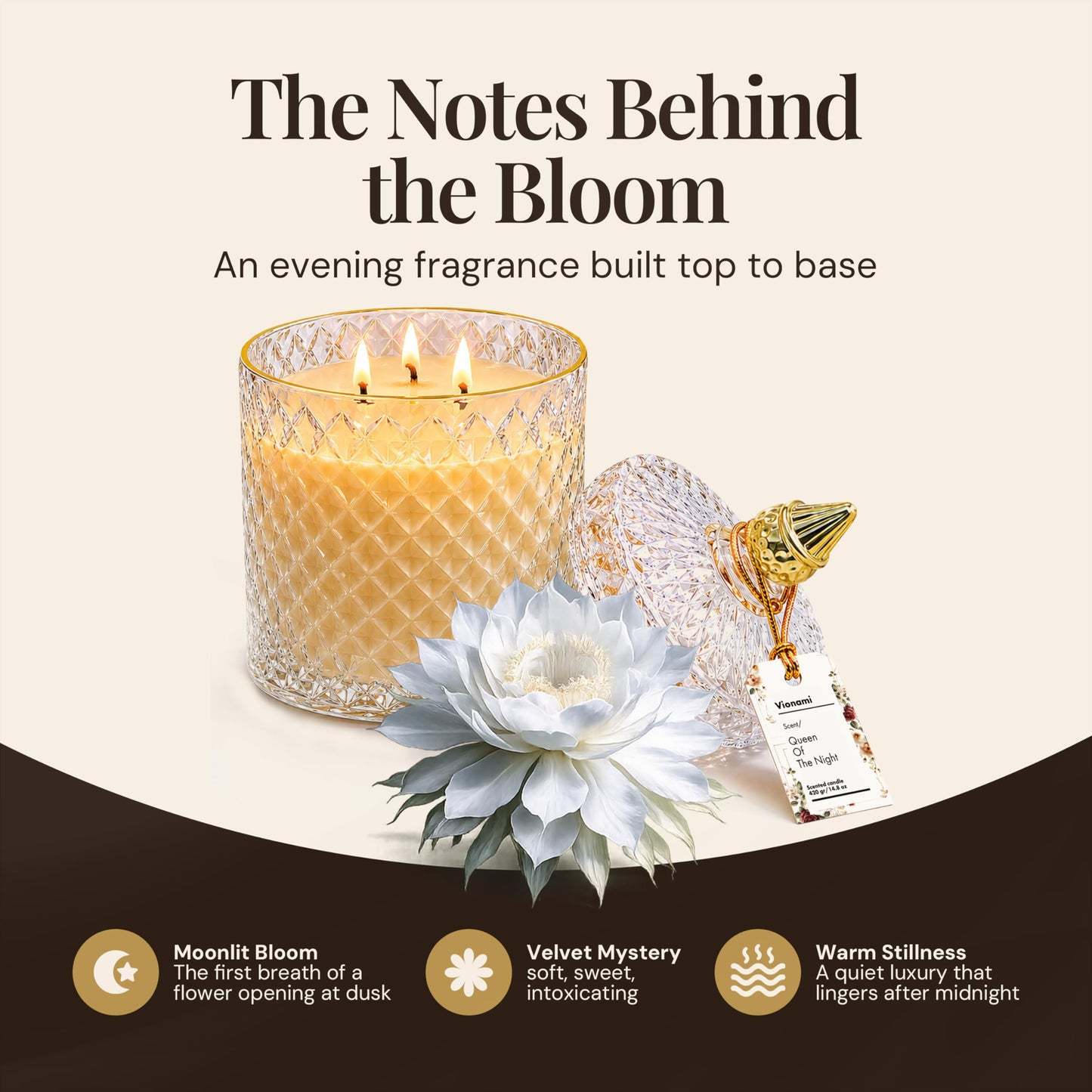 VIONAMI Luxury Scented Candle Gift – Queen of The Night Rare Flower Fragrance in Elegant Glass Jar, Decorative Soy Candles Gifts for Women, Long-Lasting 80 Hr, 14.8 oz, Luxury Candles for Women