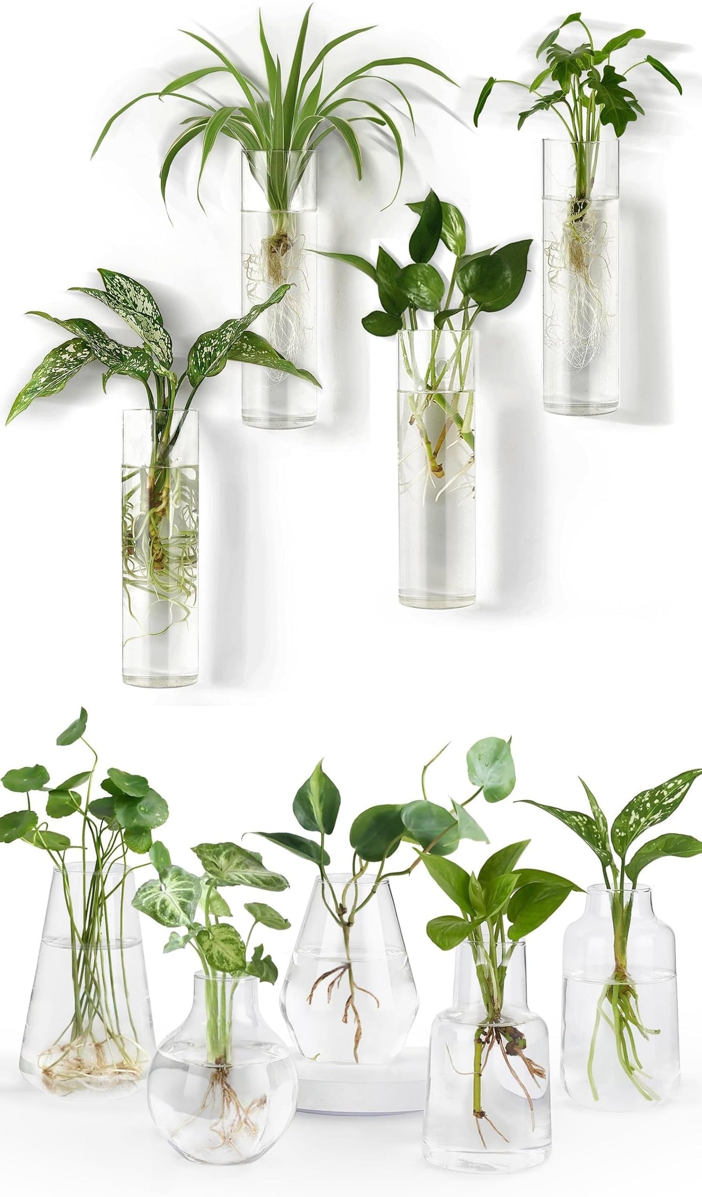 Mkono Propagation Station Wall Planter Hanging Glass Tubes Flower Vase Set