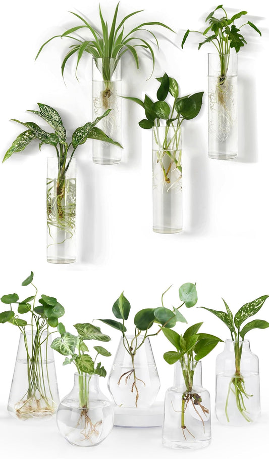 Mkono Propagation Station Wall Planter Hanging Glass Tubes Flower Vase Set
