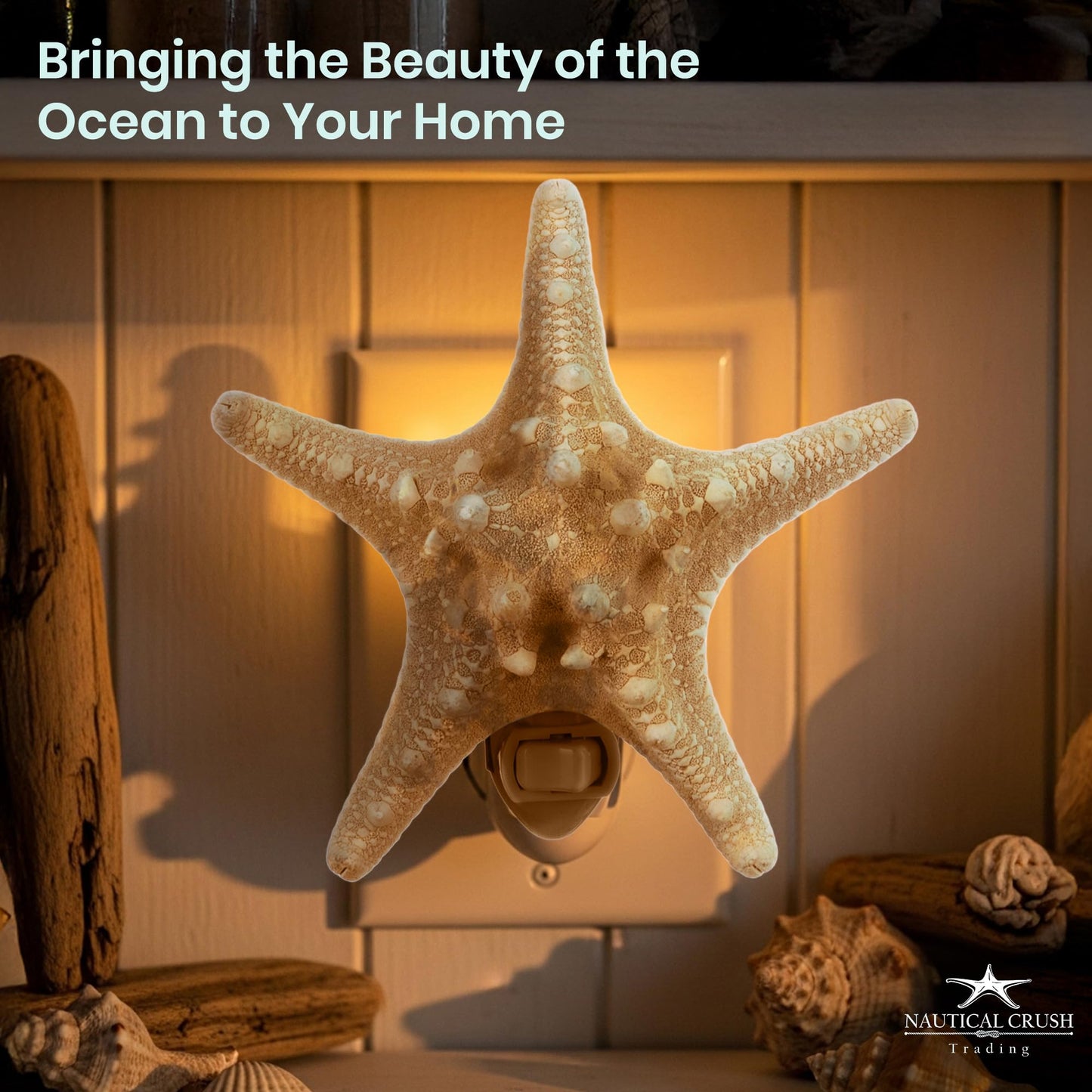 Nautical Crush Trading Real Starfish Night Light – Beach Night Light with Knobby Starfish – Shell Light for Bathroom – Sea Shell Lamp – Seashell Lamp Plug Into Wall