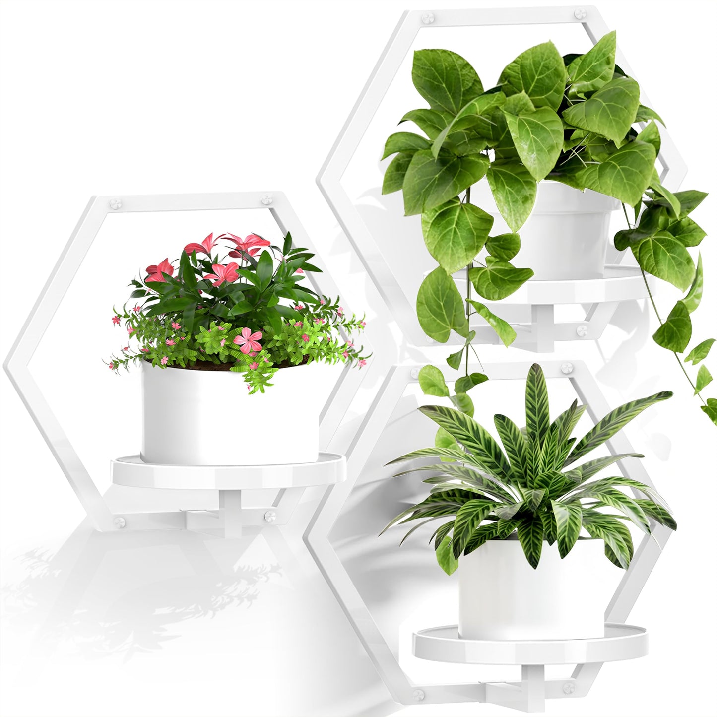 JOPBENG 3 Packs Wall Planters for Indoor Plants, 7.9inch Metal Wall Plant Holder Hanger Wall Decor, Wall-Mounted Hanging Planters Window Plant Shelves Outdoor(White)