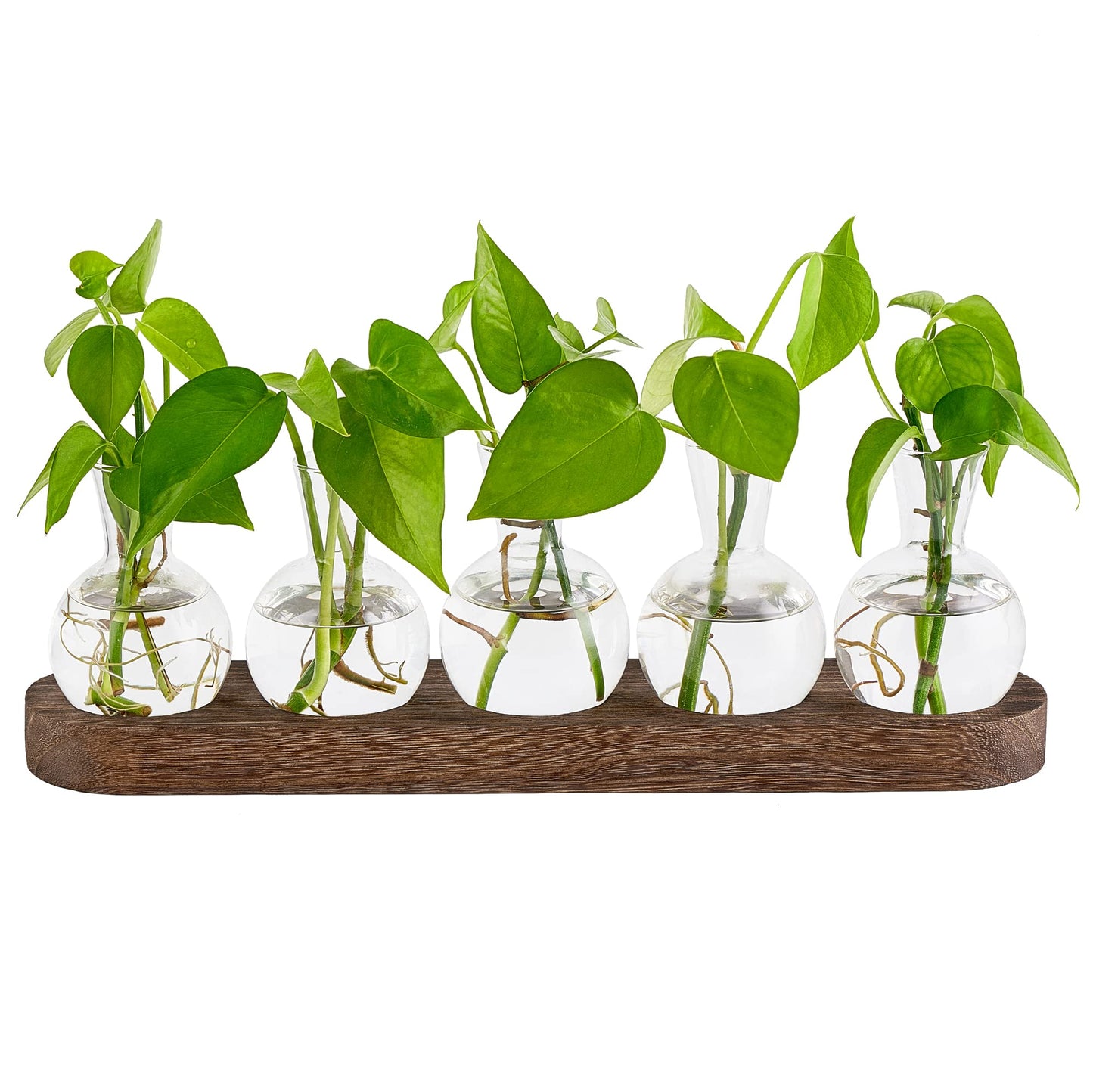 Mkono Desktop Plant Propagation Glass Station Retro Terrarium with Wooden Tray Bulb Vase for Hydroponic Home Indoor Decor Brown, Plant Lover Gift