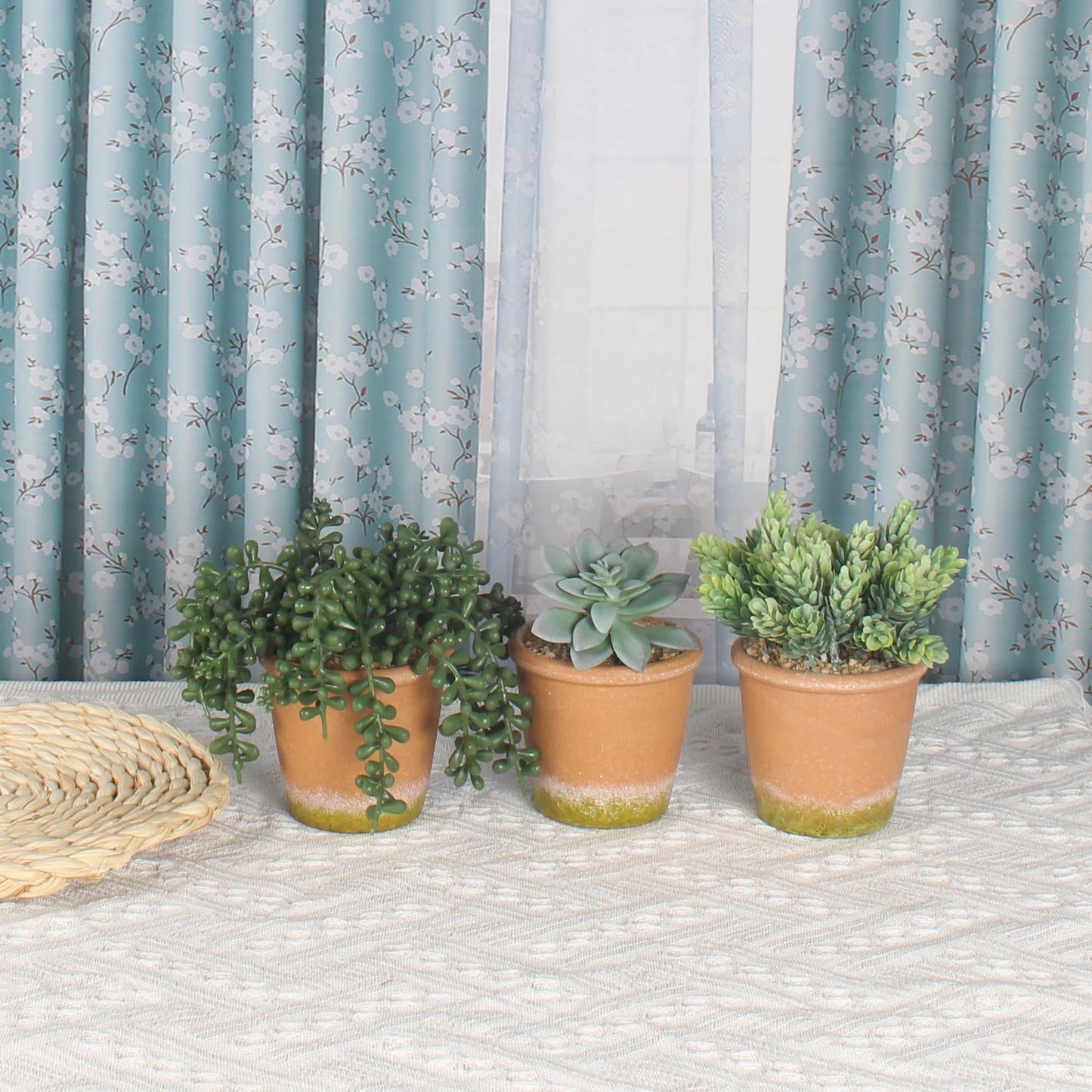 COTSEN 3 Pcs Artificial Succulent Plants Potted False Succulent Plants Potted Faux Potted Plant Family Office Bookshelf Decor