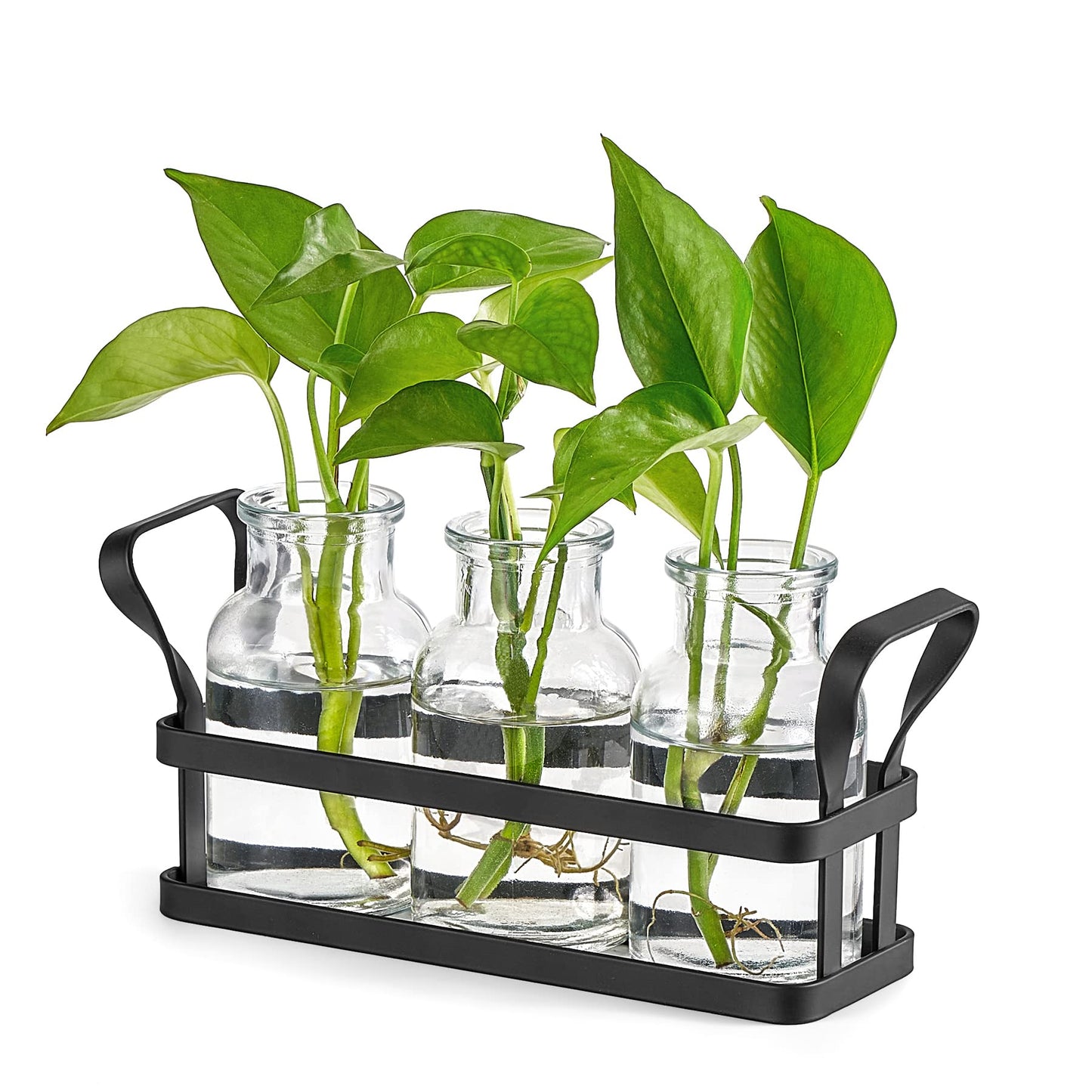 Mkono Propagation Stations with Metal Stand, Desktop Plant Terrarium Glass Planter Vase for Hydroponic Plants Flower Cutting Home Office Garden Decor Plant Lover Gifts, 3 Jars