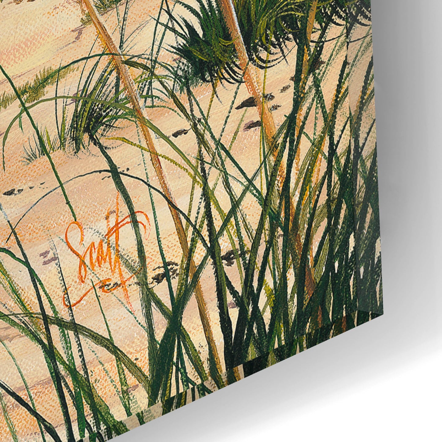 Epic Art 'Outer Banks Sunrise' by Scott Westmoreland Acrylic Glass Wall Art, 16" x 12"