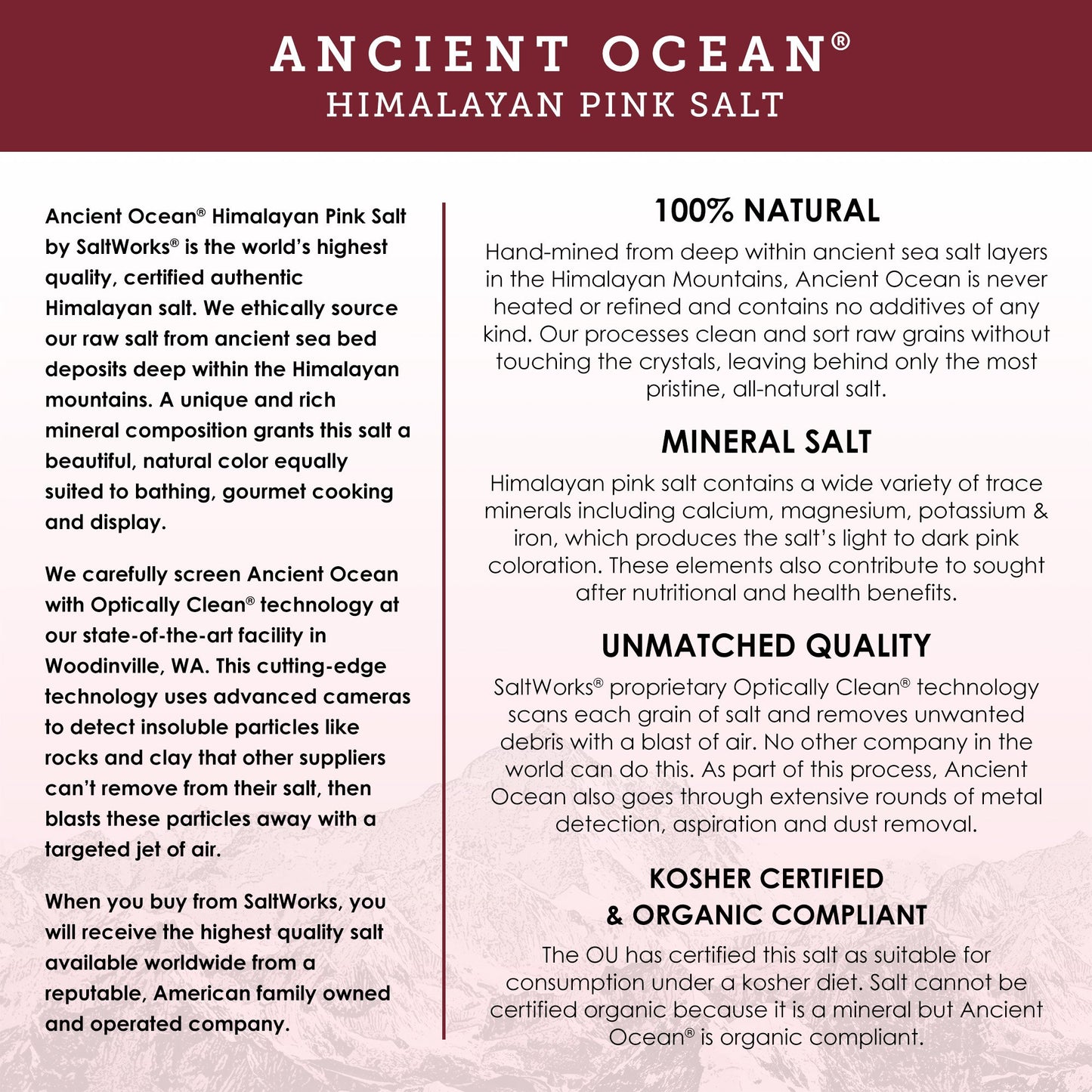 SALTWORKS Artisan Salt Company Ancient Ocean Himalayan Pink Salt, Fine Grain, Pour Spout Pouch, 16 Ounce