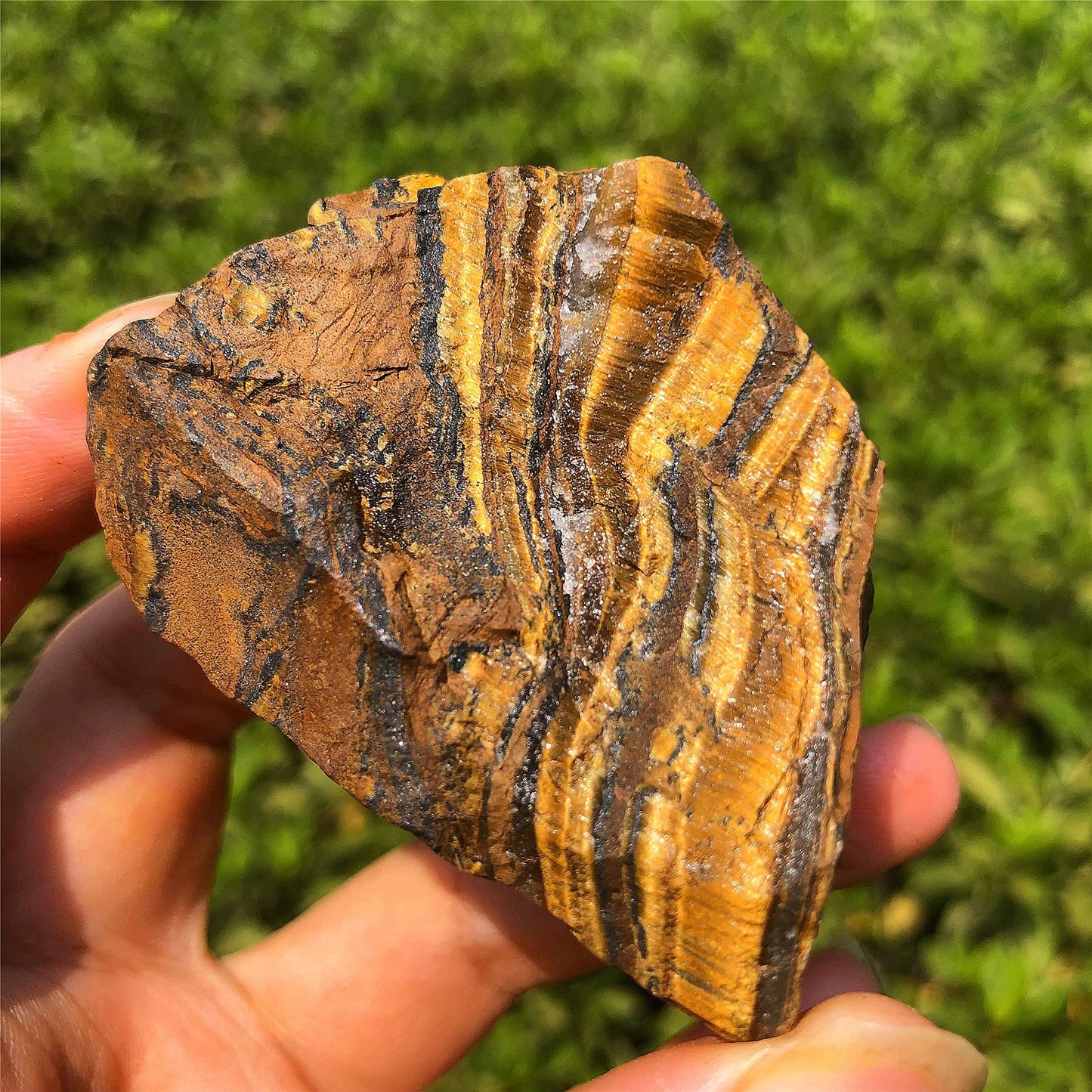 Zenkeeper 1Lb Natural Raw Tiger Eyes Crystal Stone, Rough Tiger Eye Gemstone, Gold Tiger Eyes Rocks for Crystal Healing Meditation Reiki Stone